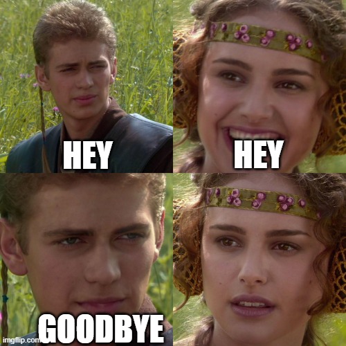 funny | HEY; HEY; GOODBYE | image tagged in anakin padme 4 panel | made w/ Imgflip meme maker