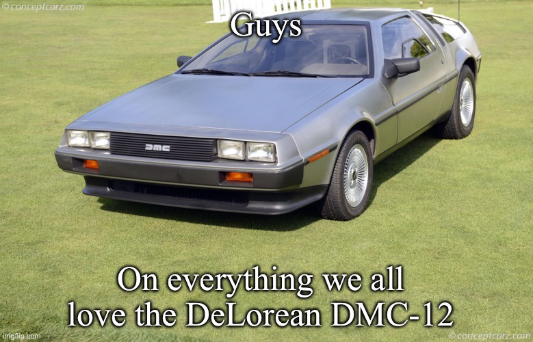 We all love it | Guys; On everything we all love the DeLorean DMC-12 | image tagged in delorean dmc-12,delorean,cars | made w/ Imgflip meme maker