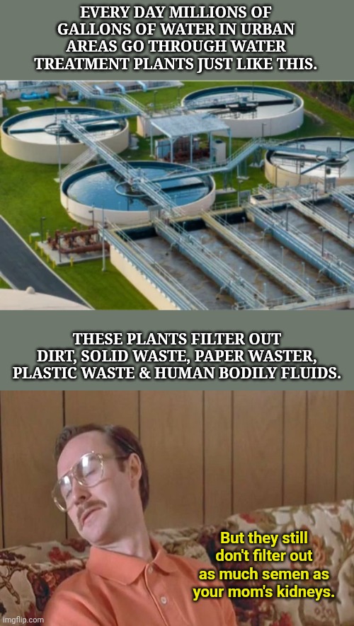 It's about semen y'all - oh and rare insults said it's not a rare insult?!? | EVERY DAY MILLIONS OF GALLONS OF WATER IN URBAN AREAS GO THROUGH WATER TREATMENT PLANTS JUST LIKE THIS. THESE PLANTS FILTER OUT DIRT, SOLID WASTE, PAPER WASTER, PLASTIC WASTE & HUMAN BODILY FLUIDS. But they still don't filter out as much semen as your mom's kidneys. | image tagged in your mom goes to college,water,perhaps i treated you too harshly | made w/ Imgflip meme maker