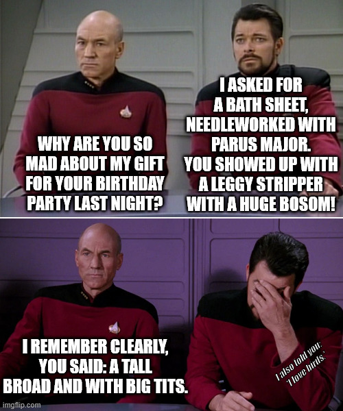 0_0 Bigbirdknockers | I ASKED FOR A BATH SHEET, NEEDLEWORKED WITH PARUS MAJOR.
YOU SHOWED UP WITH A LEGGY STRIPPER WITH A HUGE BOSOM! WHY ARE YOU SO MAD ABOUT MY GIFT FOR YOUR BIRTHDAY PARTY LAST NIGHT? I REMEMBER CLEARLY, YOU SAID: A TALL BROAD AND WITH BIG TITS. I also told you:
 'I love birds.' | image tagged in picard riker listening to a pun,star trek,dad joke | made w/ Imgflip meme maker