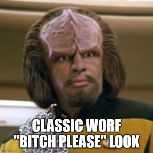 Worf Gives "The Look" | CLASSIC WORF "BITCH PLEASE" LOOK | image tagged in lt worf | made w/ Imgflip meme maker