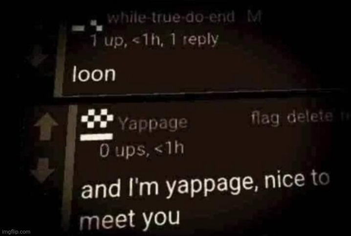 loon | image tagged in loon | made w/ Imgflip meme maker