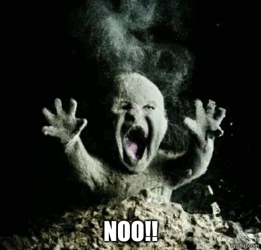 Ash baby | NOO!! | image tagged in ash baby | made w/ Imgflip meme maker