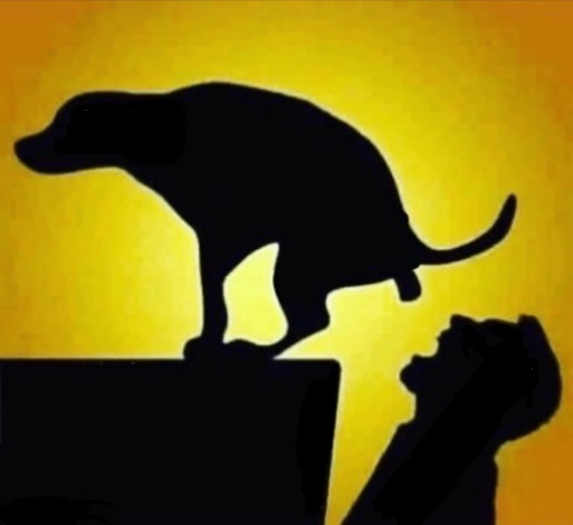 Dog Poop Blank Meme Template