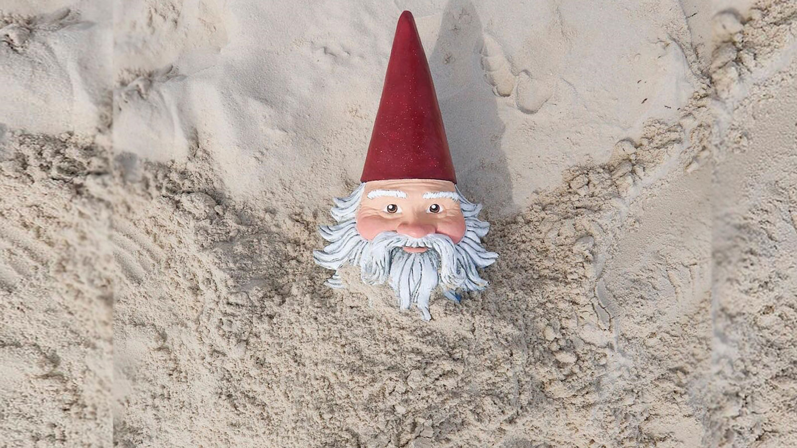 Travelocity gnome Blank Meme Template