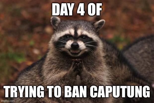 This kid lowkey annoying | DAY 4 OF; TRYING TO BAN CAPUTUNG | image tagged in evil genius racoon | made w/ Imgflip meme maker