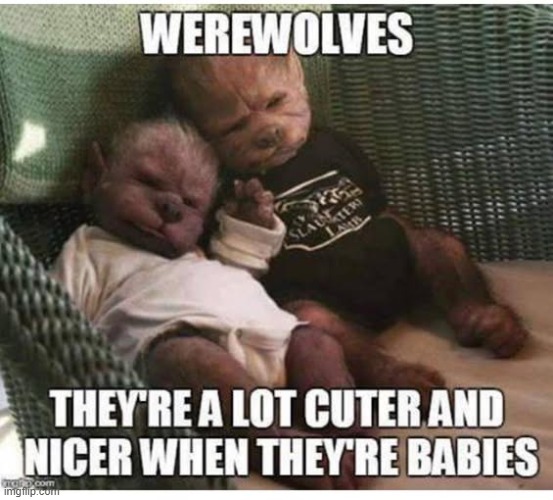 Cute werewolf babies | image tagged in werewolf,babies,cute,funny | made w/ Imgflip meme maker