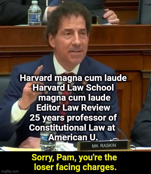 Rep. Jamie Raskin | Harvard magna cum laude
Harvard Law School

 magna cum laude
Editor Law Review
25 years professor of

Constitutional Law at 
American U. Sorry, Pam, you're the 
loser facing charges. | image tagged in rep jamie raskin,harvard,constitution,pam bondi,loser | made w/ Imgflip meme maker