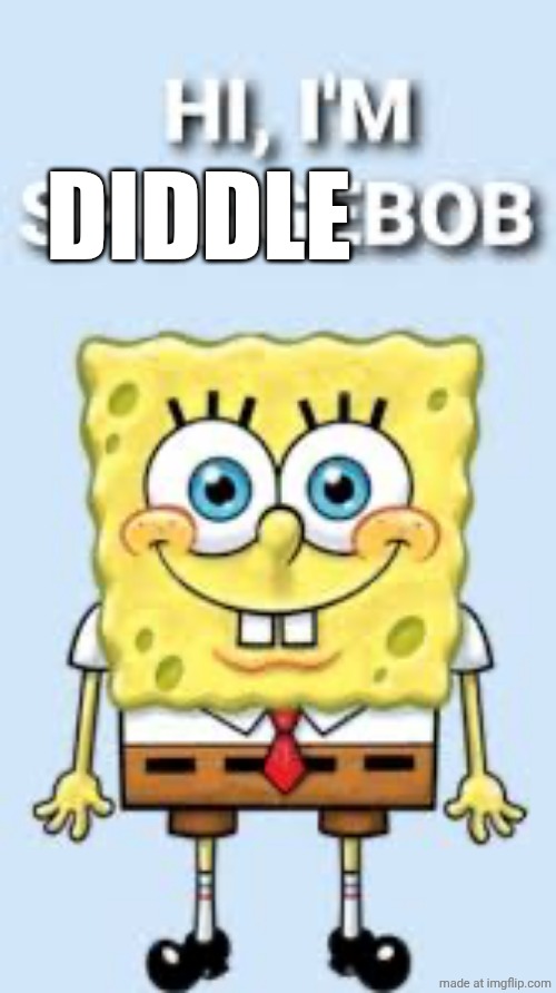 Hi I'm DiddleBob | DIDDLE | image tagged in hi i m diddlebob | made w/ Imgflip meme maker