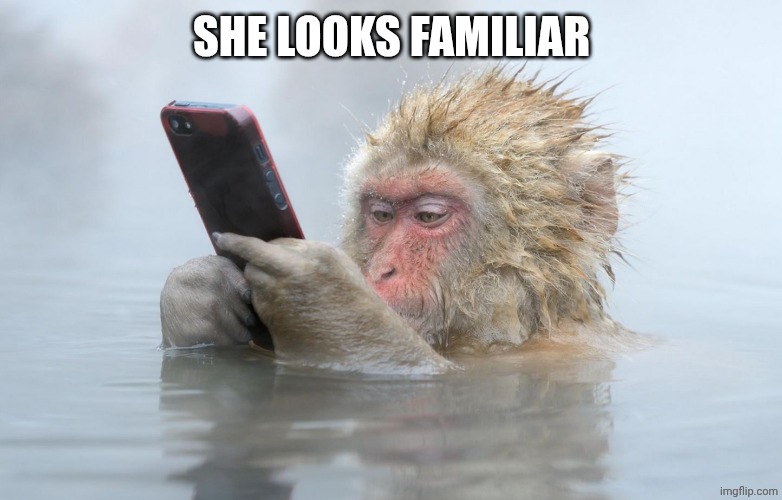 monkey in a hot tub with iphone | SHE LOOKS FAMILIAR | image tagged in monkey in a hot tub with iphone | made w/ Imgflip meme maker