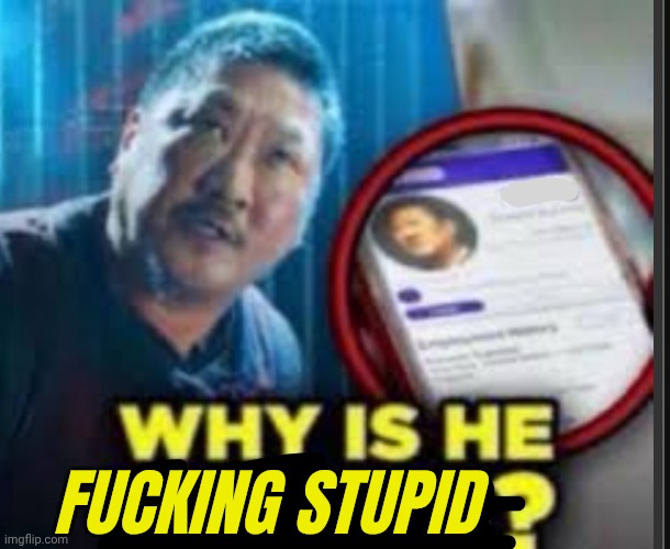 Why is he ….? | FUCKING STUPID | image tagged in why is he | made w/ Imgflip meme maker