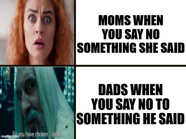 You are cooked when dads calls you to have a little talk | MOMS WHEN YOU SAY NO SOMETHING SHE SAID; DADS WHEN YOU SAY NO TO SOMETHING HE SAID | image tagged in memes,surprised,dads,funny,relatable | made w/ Imgflip meme maker