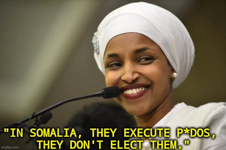 Ilan omar | "IN SOMALIA, THEY EXECUTE P*DOS,
 THEY DON'T ELECT THEM." | image tagged in ilan omar,somalia,trump,jeffrey epstein,children | made w/ Imgflip meme maker