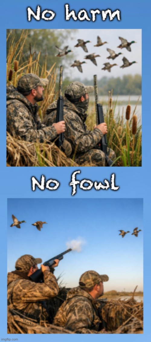 Spelling makes all the difference | image tagged in memes,no animals were harmed in this production,i dont kill animals,i dont even eat animals,i love on animals n they love on me | made w/ Imgflip meme maker