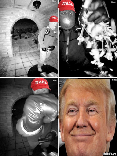 FBI NGI-IPS Next Generation Identification-Interstate Photo System | image tagged in trump,maga,make america great again,kidnapping,kidnap,jeffrey epstein | made w/ Imgflip meme maker