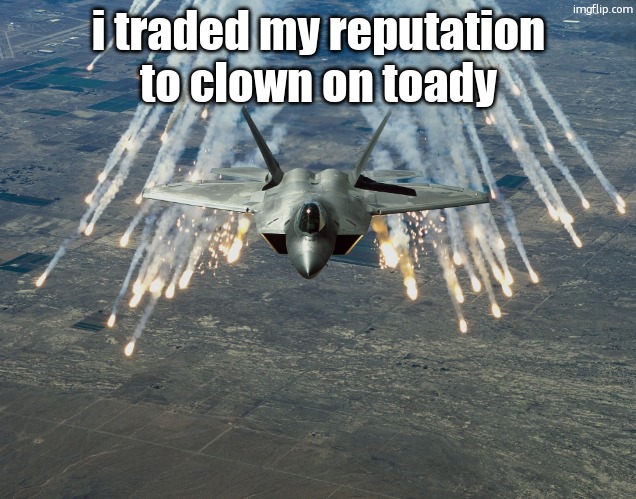 Fighter Jet | i traded my reputation to clown on toady | image tagged in fighter jet | made w/ Imgflip meme maker