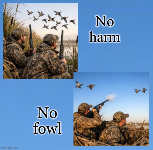 No
harm; Marko; No
fowl | image tagged in memes,no dead animals,just images,u can tell a persons character,by how they treat animals | made w/ Imgflip meme maker
