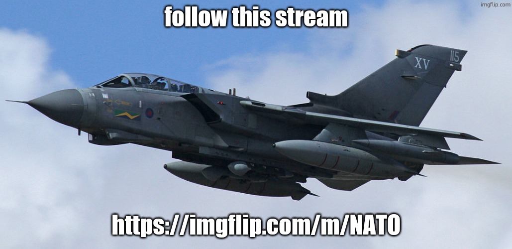 Panavia Tornado | follow this stream; https://imgflip.com/m/NATO | image tagged in panavia tornado | made w/ Imgflip meme maker