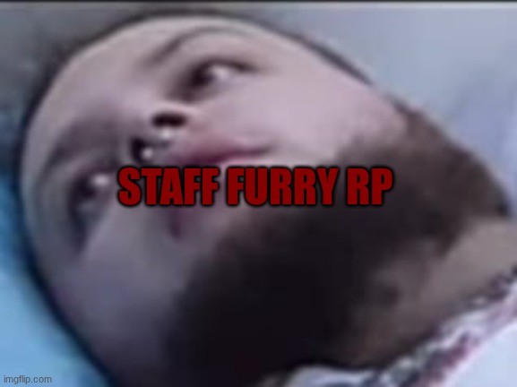 stanleymov | STAFF FURRY RP | image tagged in stanleymov | made w/ Imgflip meme maker