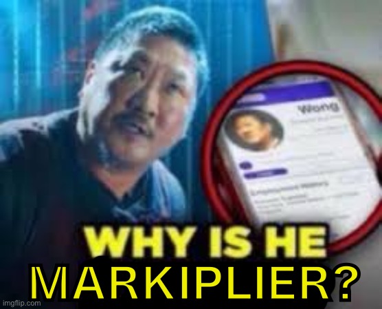 why is he lying | MARKIPLIER? | image tagged in why is he lying | made w/ Imgflip meme maker