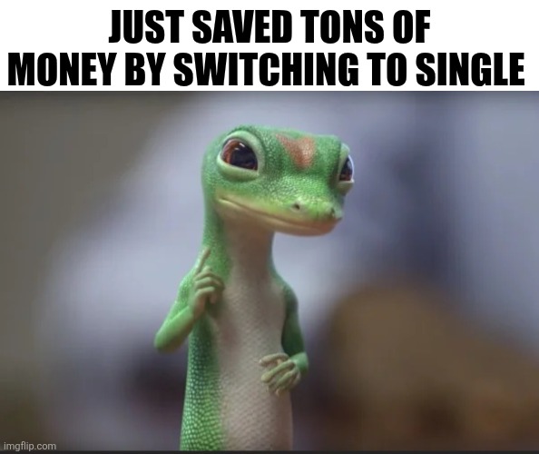 Just Saved Tons Of Money | JUST SAVED TONS OF MONEY BY SWITCHING TO SINGLE | image tagged in chrisjoines1 | made w/ Imgflip meme maker