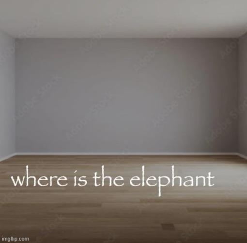 where is the elephant | image tagged in where is the elephant | made w/ Imgflip meme maker