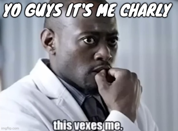 This vexes me | YO GUYS IT'S ME CHARLY | image tagged in this vexes me | made w/ Imgflip meme maker