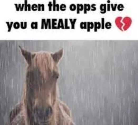 when the opps give you a MEALY apple </3 | image tagged in when the,opps give you,a mealy apple | made w/ Imgflip meme maker