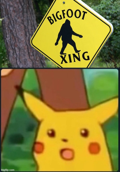 image tagged in surprised pikachu | made w/ Imgflip meme maker