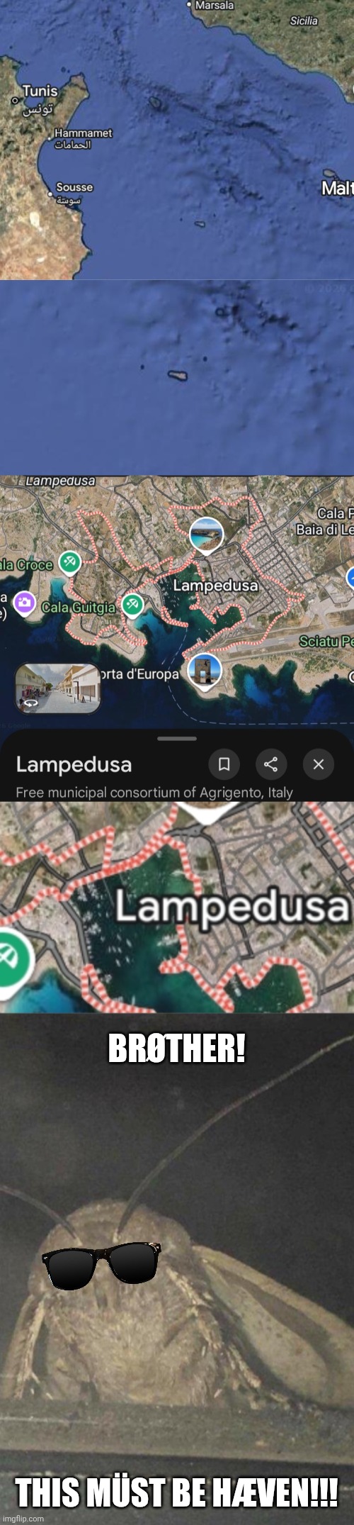 BRØTHER! THIS MÜST BE HÆVEN!!! | image tagged in moth | made w/ Imgflip meme maker