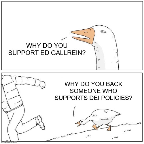 Goose Chase | WHY DO YOU SUPPORT ED GALLREIN? WHY DO YOU BACK SOMEONE WHO SUPPORTS DEI POLICIES? | image tagged in goose chase | made w/ Imgflip meme maker