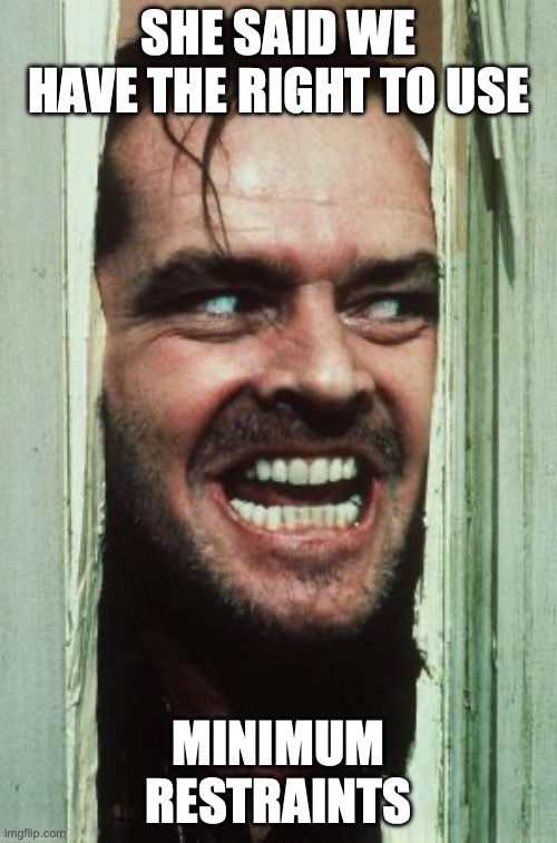 Here's Johnny Meme | SHE SAID WE HAVE THE RIGHT TO USE; MINIMUM RESTRAINTS | image tagged in memes,here's johnny | made w/ Imgflip meme maker