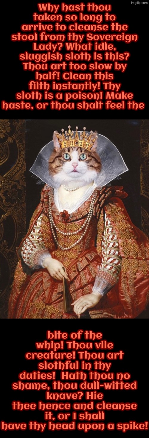 The Cleansing Of Thine Stool | Why hast thou taken so long to arrive to cleanse the stool from thy Sovereign Lady? What idle, sluggish sloth is this? Thou art too slow by half! Clean this filth instantly! Thy sloth is a poison! Make haste, or thou shalt feel the; bite of the whip! Thou vile creature! Thou art slothful in thy duties!  Hath thou no shame, thou dull-witted knave? Hie thee hence and cleanse it, or I shall have thy head upon a spike! | image tagged in cats,medieval memes,funny cats,superior royalty,wipe my ass peasant,the queen | made w/ Imgflip meme maker