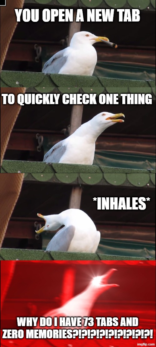 Inhaling Seagull Meme | YOU OPEN A NEW TAB; TO QUICKLY CHECK ONE THING; *INHALES*; WHY DO I HAVE 73 TABS AND ZERO MEMORIES?!?!?!?!?!?!?!?!?! | image tagged in memes,inhaling seagull | made w/ Imgflip meme maker