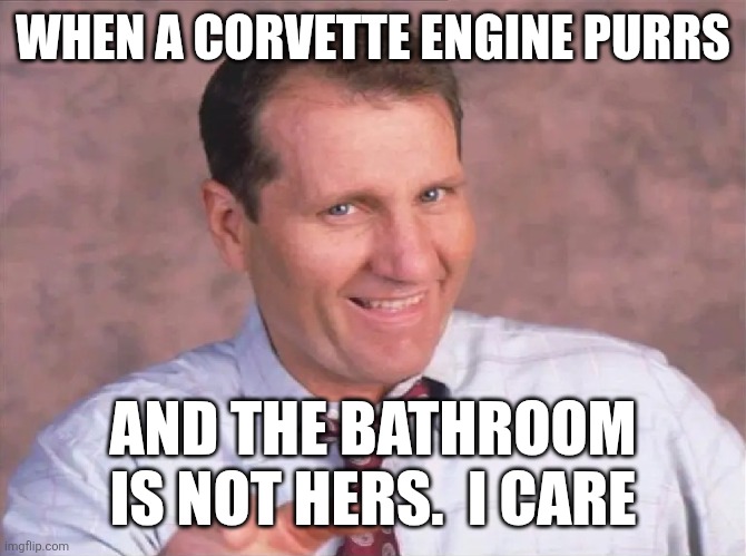 Al Bundy | WHEN A CORVETTE ENGINE PURRS; AND THE BATHROOM IS NOT HERS.  I CARE | image tagged in al bundy,funny memes | made w/ Imgflip meme maker