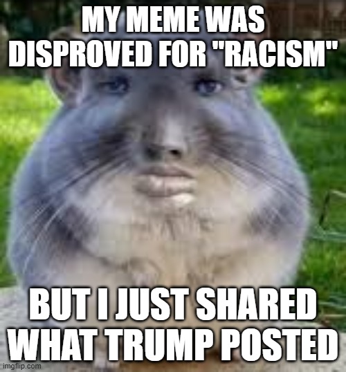 Maga LOVES their precious flag button | MY MEME WAS DISPROVED FOR "RACISM"; BUT I JUST SHARED WHAT TRUMP POSTED | image tagged in disappointed chinchilla,racism sucks | made w/ Imgflip meme maker