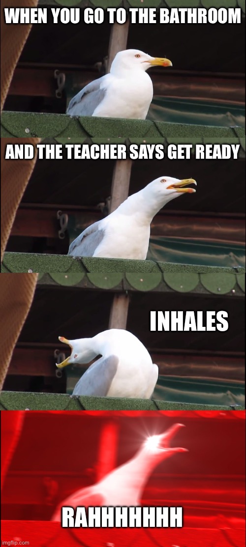 Inhaling Seagull | WHEN YOU GO TO THE BATHROOM; AND THE TEACHER SAYS GET READY; INHALES; RAHHHHHHH | image tagged in memes,inhaling seagull | made w/ Imgflip meme maker