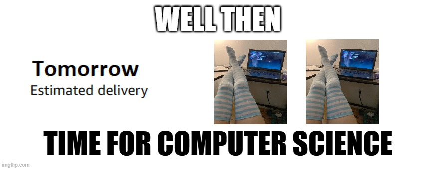 Time for Computer Science | WELL THEN; TIME FOR COMPUTER SCIENCE | image tagged in funny,programming | made w/ Imgflip meme maker