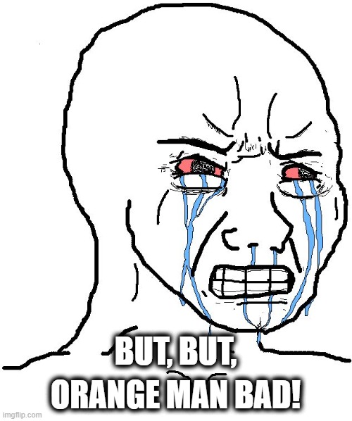 Crying Liberal | BUT, BUT, ORANGE MAN BAD! | image tagged in crying liberal | made w/ Imgflip meme maker