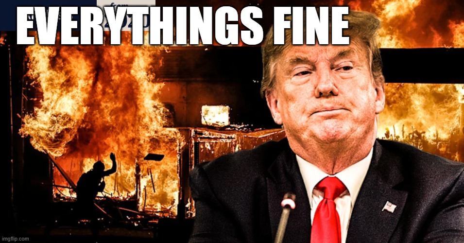 EVERYTHINGS FINE | EVERYTHINGS FINE | image tagged in trumpisincompetent,trumpisworthless,trumpisafakeamerican,conservativesarescummypeople,republicansarefakeamericans | made w/ Imgflip meme maker
