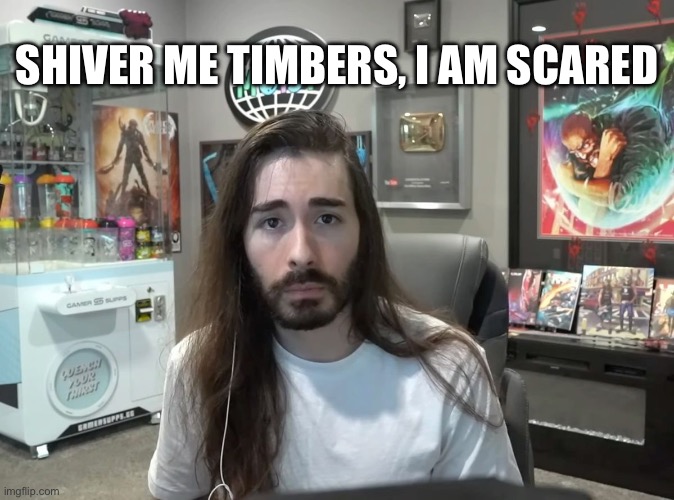 Idk I needed this meme to use on my group chat | SHIVER ME TIMBERS, I AM SCARED | made w/ Imgflip meme maker