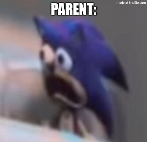 Traumatised Sonic | PARENT: | image tagged in traumatised sonic | made w/ Imgflip meme maker