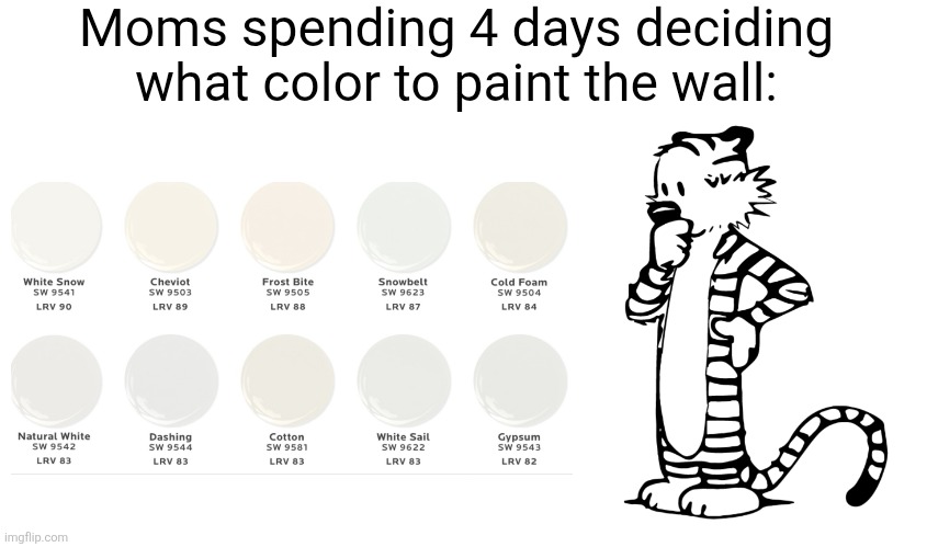 (They're all the same fcking thing) | Moms spending 4 days deciding what color to paint the wall: | image tagged in calvin and hobbes,so true,walls,painting,white,colors | made w/ Imgflip meme maker