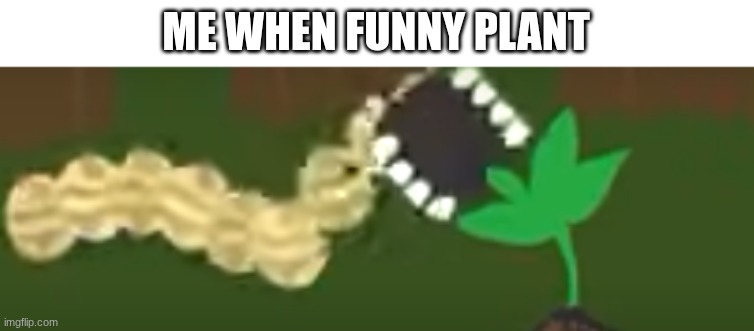 lettuce is good gng | ME WHEN FUNNY PLANT | image tagged in funny,memes,funny memes,shitpost | made w/ Imgflip meme maker