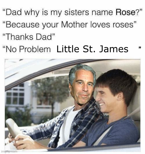 island | Little St. James | image tagged in why is my sister's name rose,msmg,jeffrey epstein,island | made w/ Imgflip meme maker