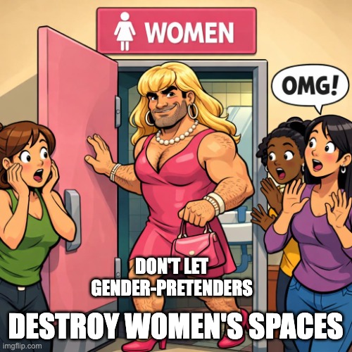 A male dressed as female, in female washroom as females look on | DESTROY WOMEN'S SPACES; DON'T LET GENDER-PRETENDERS | image tagged in a male dressed as female in female washroom as females look on | made w/ Imgflip meme maker