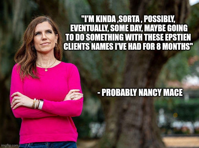 "I'M KINDA ,SORTA , POSSIBLY,  EVENTUALLY, SOME DAY, MAYBE GOING TO DO SOMETHING WITH THESE EPSTIEN CLIENTS NAMES I'VE HAD FOR 8 MONTHS"; - PROBABLY NANCY MACE | image tagged in funny memes | made w/ Imgflip meme maker