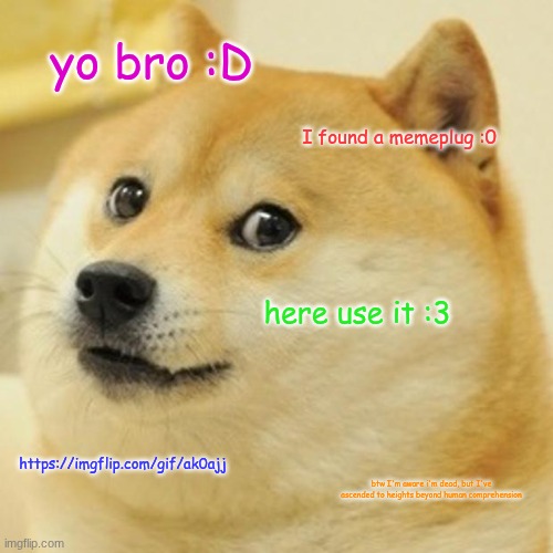 Doge give you a memeplug (long time no see old friend :D) | yo bro :D; I found a memeplug :0; here use it :3; https://imgflip.com/gif/ak0ajj; btw I'm aware i'm dead, but I've ascended to heights beyond human comprehension | image tagged in memes,doge | made w/ Imgflip meme maker