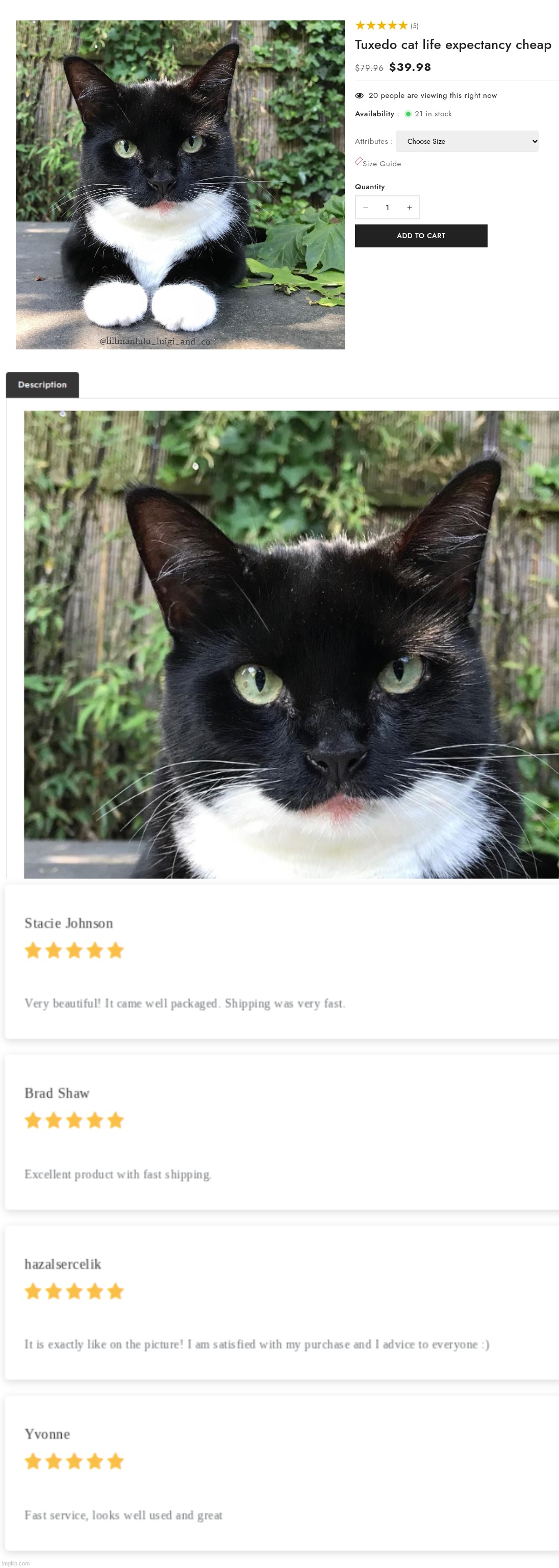 I was looking at cats and somehow got to this random website, what the fuck are they even selling | made w/ Imgflip meme maker