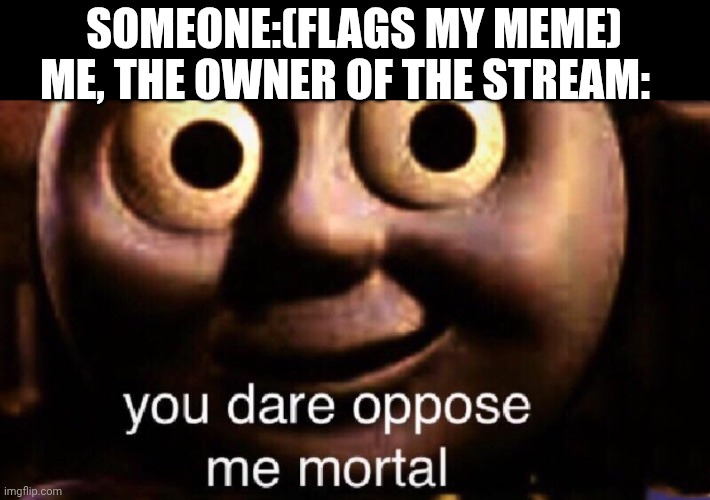 You dare oppose me mortal | SOMEONE:(FLAGS MY MEME); ME, THE OWNER OF THE STREAM: | image tagged in you dare oppose me mortal | made w/ Imgflip meme maker
